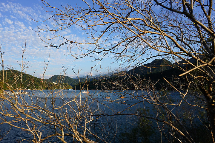 Tamron 24mm F/2.8 Di III OSD M1:2(Model F051)評測報告|廣角微距 輕巧便攜!
