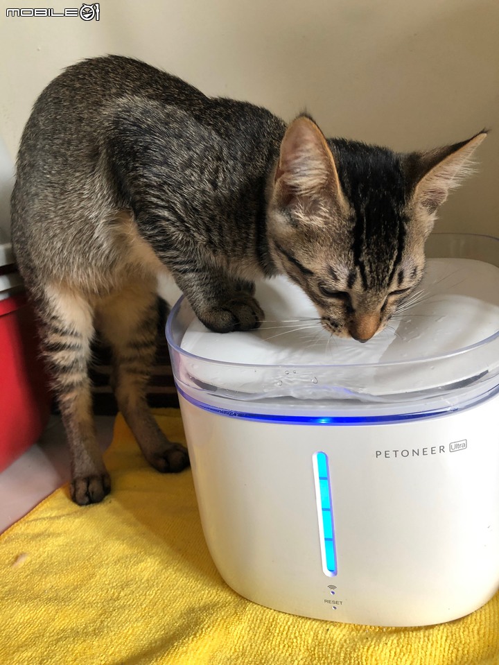 【開箱】Petoneer Fresco Ultra UV殺菌智能寵物飲水機(UV版)