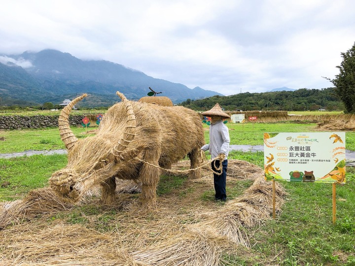 花蓮富里第一屆稻草藝術季 兩層樓高銀背猩猩現蹤