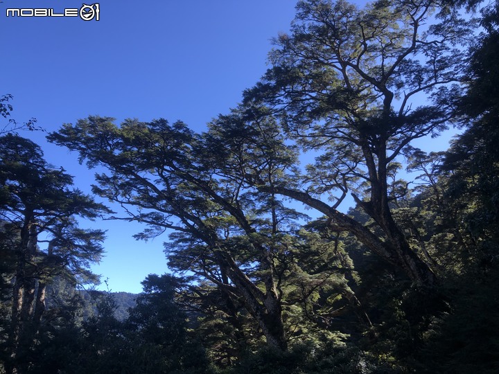 20191130 MTB 梨山+華崗+合歡溪林道