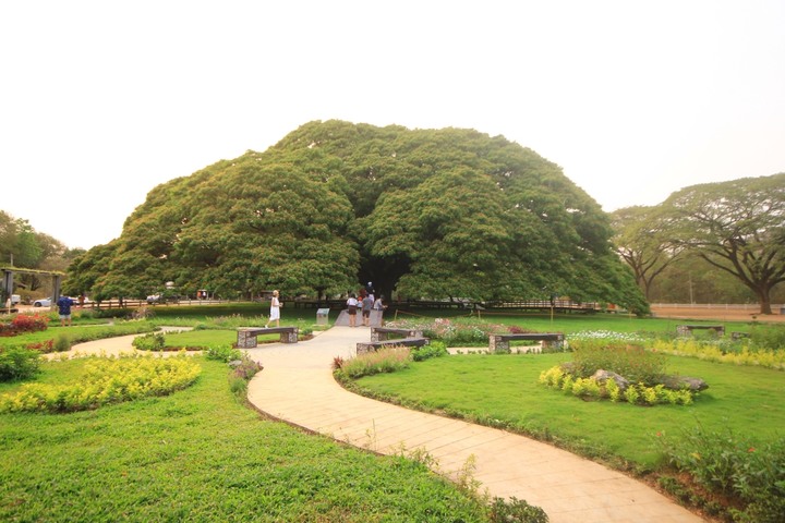 北碧包車一日遊|原來金城武、綜藝玩很大都在北碧取景!