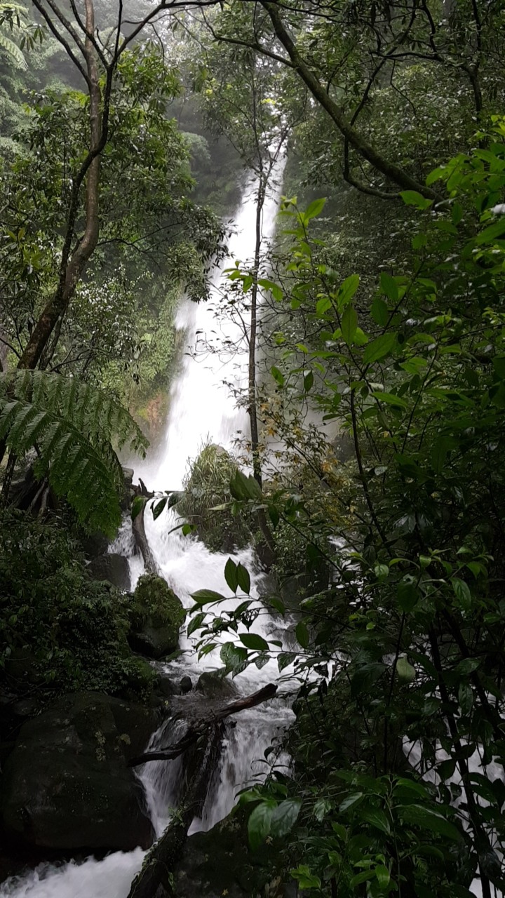 廢文  我的旅遊