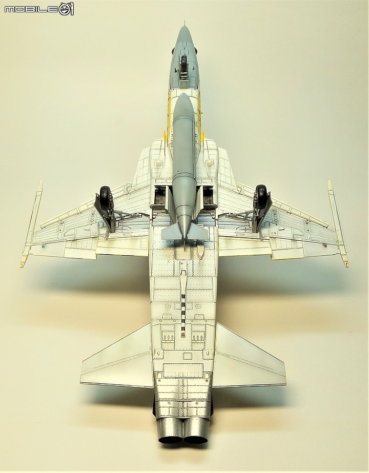 AFV 1/48 F-5E Tiger 2000 老虎彩繪機