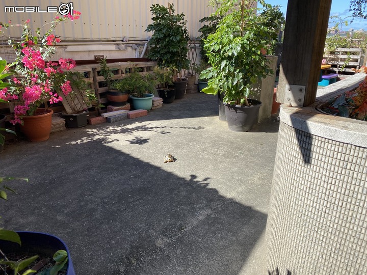 挑戰無痕的生活~環保餐具蓋大樓 分享!