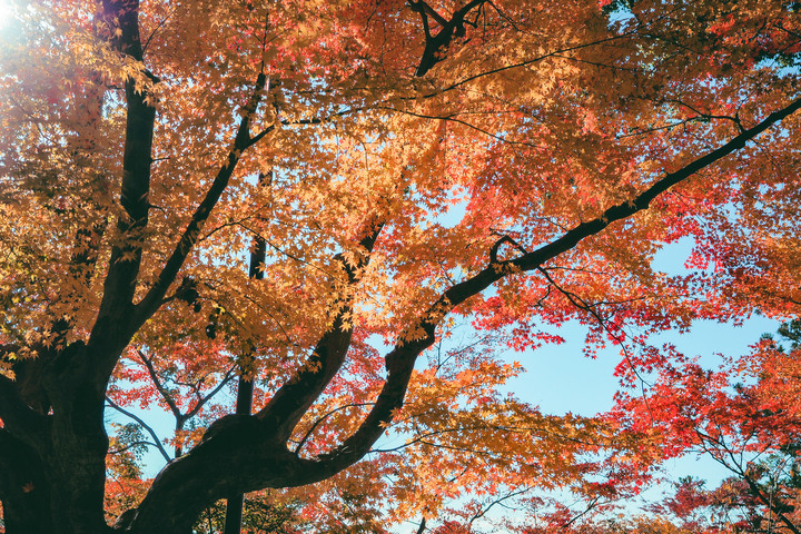 2019 秋autumn / fukuoka Sasebo Dazaifu / Olympus PenF