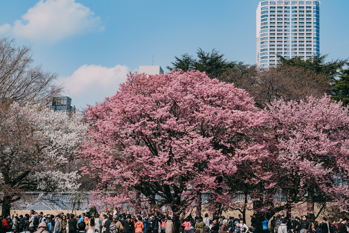 [X-T1&X-T2]這些年.東京.記憶(圖有點多)
