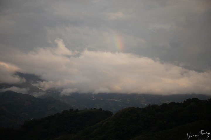 【樟之細路】(左線)出雲古道-十分崠茶亭,原始森林、山嵐美景相伴 (上)