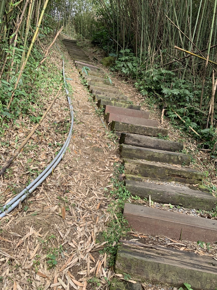 隙頂最有名旳二延平步道總共有幾階?