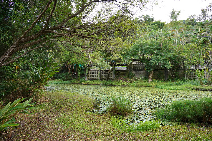 Tamron 24mm F/2.8 Di III OSD M1:2(Model F051)評測報告|廣角微距 輕巧便攜!