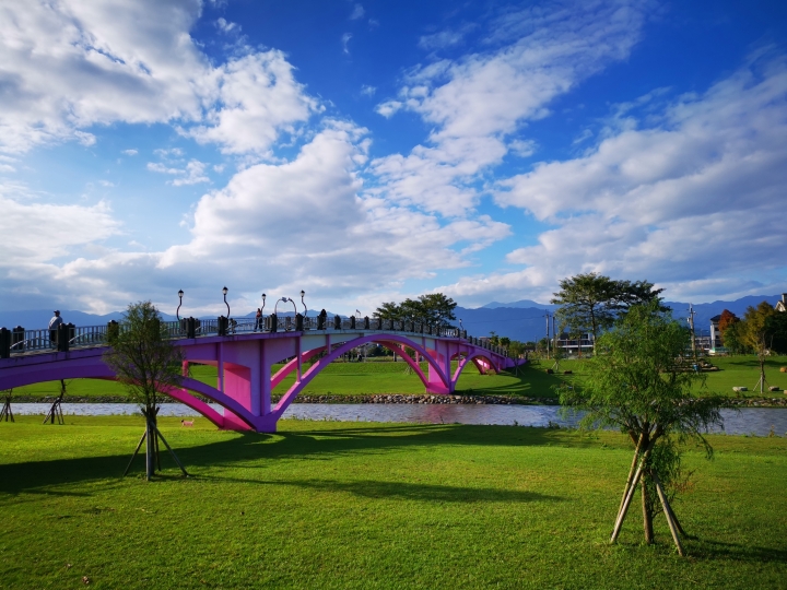 羅東運動公園落羽松轉紅中