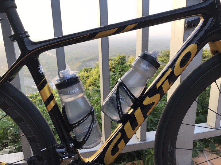 GUSTO 2020 RCR TL 碟煞車隊限量版 開箱文