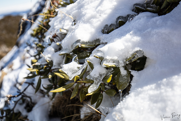 【雪山單攻】踏上雪國之巔~第四刷