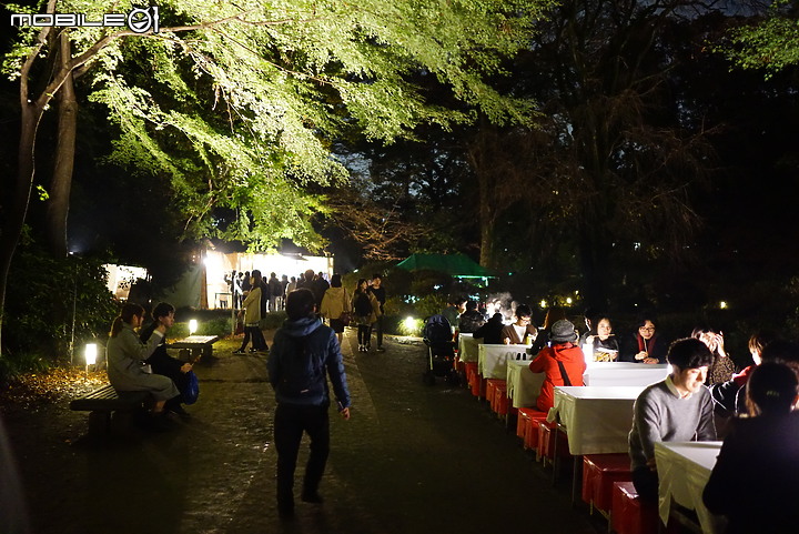 [a7R & FE35] 重拾熱情之一機一鏡輕旅行 - 東京 六義園夜楓 x 銀杏隨手拍