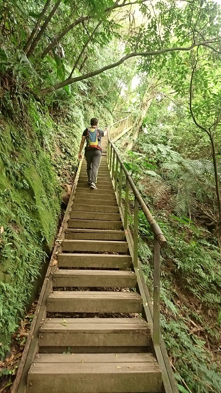 [樂山童盟] [新北新店] 獅頭山步道（中興路登山口-小獅山-文中路登山口）~景觀優~步道佳~值得一遊喔~