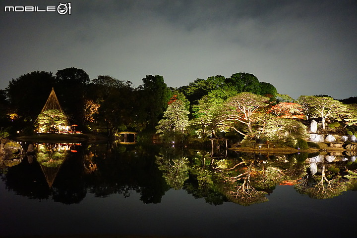 [a7R & FE35] 重拾熱情之一機一鏡輕旅行 - 東京 六義園夜楓 x 銀杏隨手拍