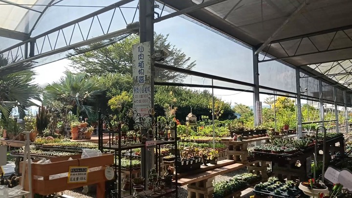 「花市/花海」埔茂花市不只是後花園，更是園藝初心者天堂！