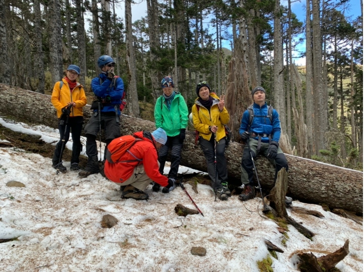忽如一夜春風來 千樹萬樹銀花開 登峰造極 雪山圈谷
