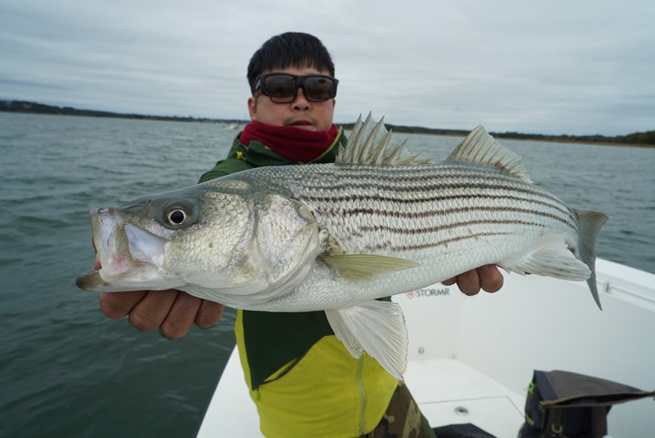 Fishing Traveler (環球釣者) - [淡水河107cm 海鱸 VS 美國巨鱸]夢幻巨海鱸之旅 Day 2 - 與世界第一傳奇釣手，釣魚之神Mike iaconelli的海鱸之旅