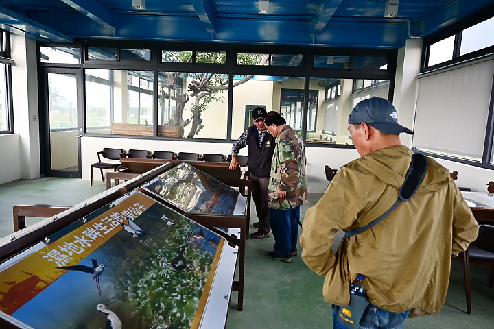 點我看大圖 台灣首發在mobile01,我在2019年11月1日以影片方式首拍到西方澤鵟。