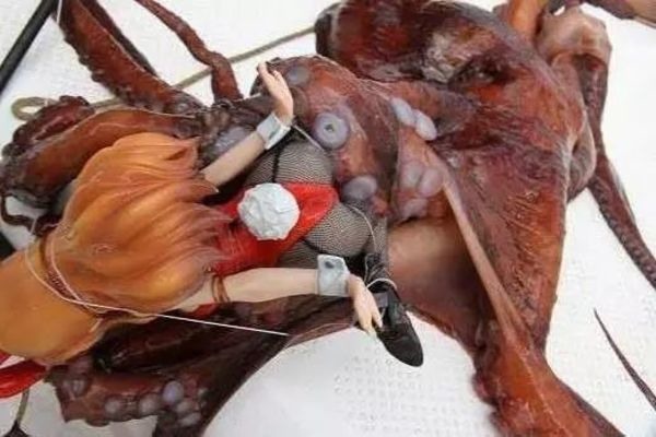 穿絲襪的小姐姐，會是那種生物的最愛?