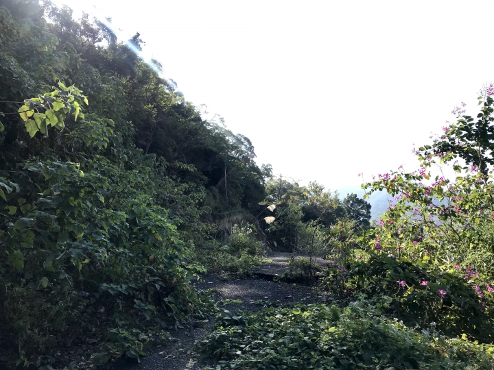 屏東春日鄉初探士文部落