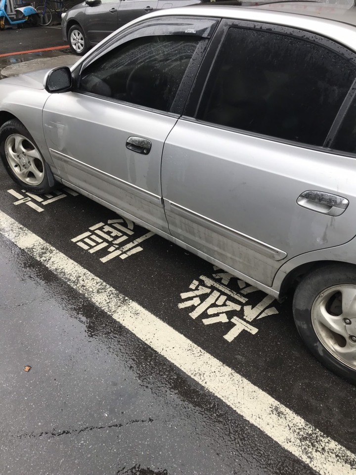 過年期間三寶都出籠了