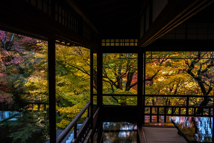 「D750」2019京都楓葉季和大阪不夜城全記錄