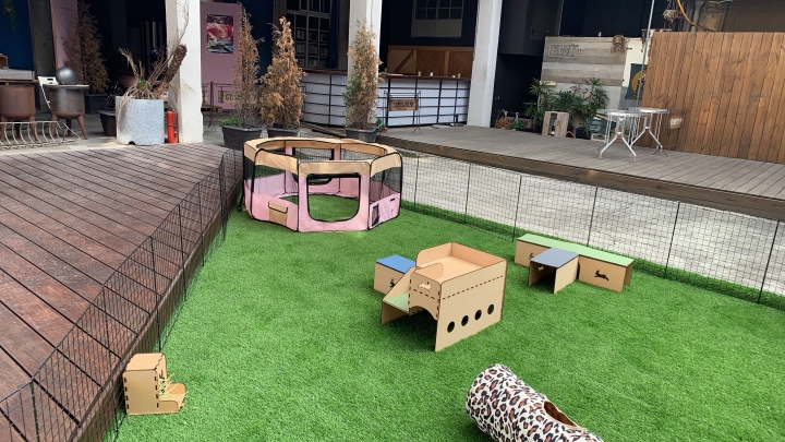 魔法兔兔寵物友善餐廳