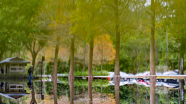 ++ OhYa ++  秋。冬。轉。瞬。(A7M3)