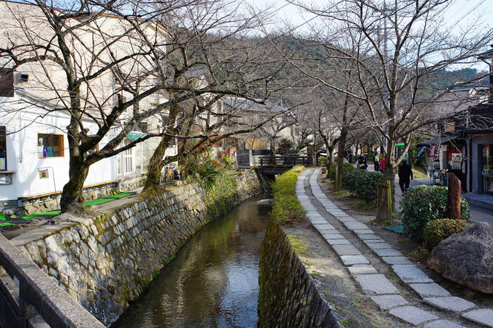 20190115日本京阪六日自由行