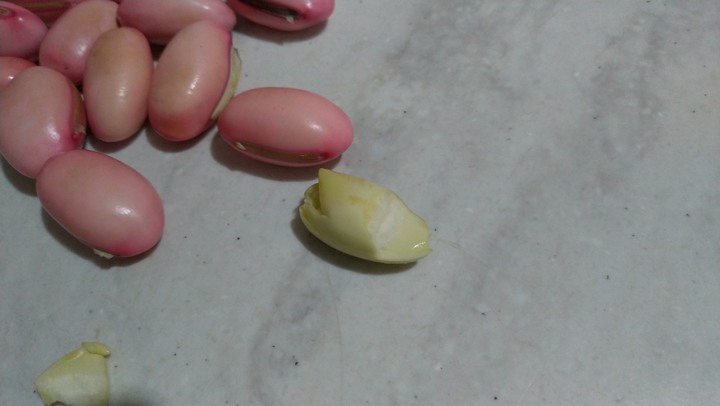 請問這是甚麼豆??如何料理??