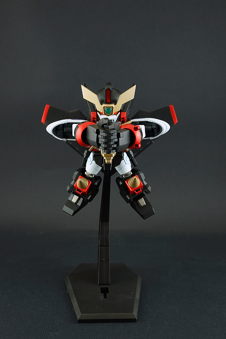 SDCS 我王凱牙 GAOGAIGAR