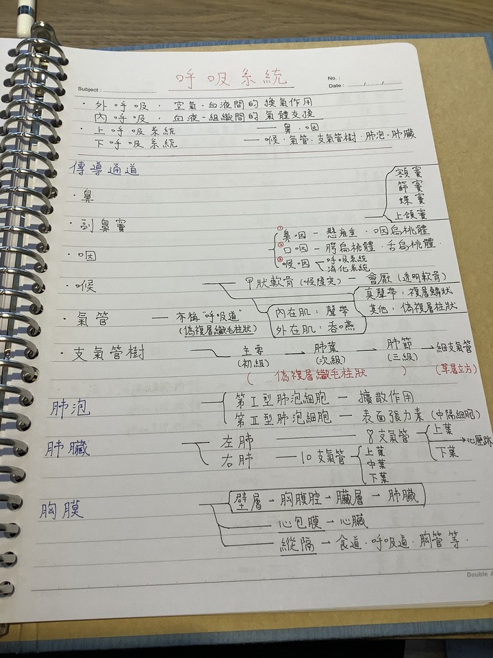 Apple pencil 驚艷之作（筆記用途