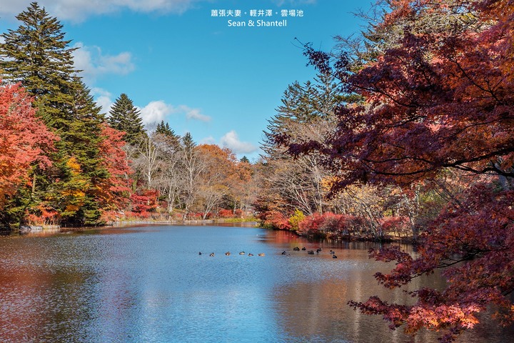 點我看大圖 【遊記】關東。A7M3+Batis 25mm & 55mm 1.8ZA