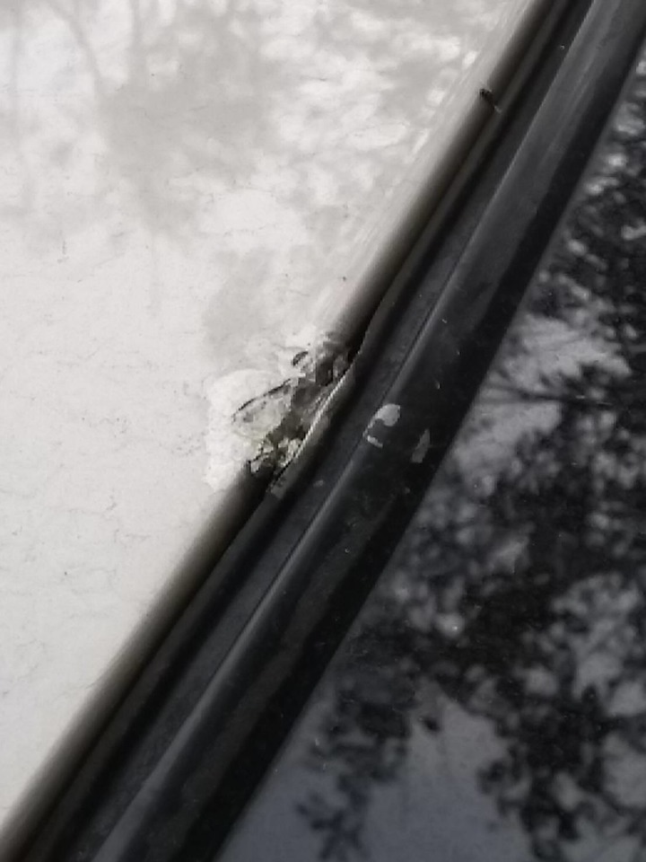 車頂上有一個小洞，該如何處理？