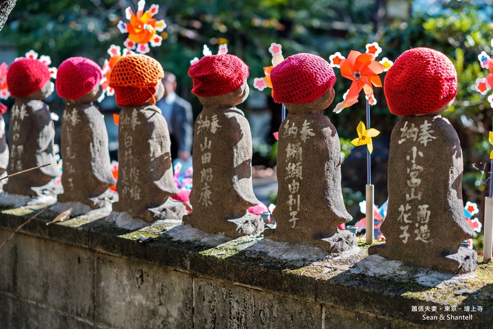 點我看大圖 【遊記】關東。A7M3+Batis 25mm & 55mm 1.8ZA