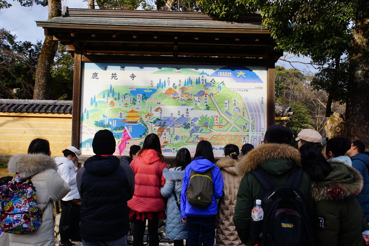 20190115日本京阪六日自由行