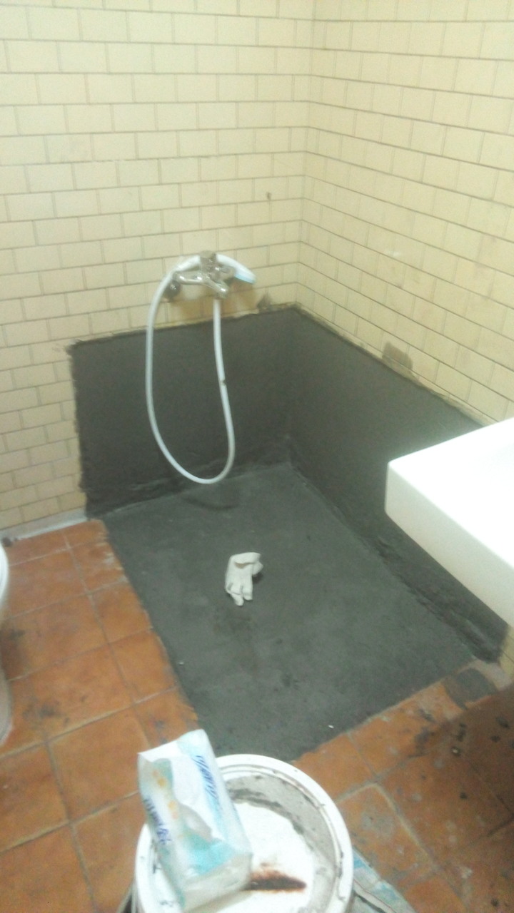 [-4930]閒置老屋活化之-各種漏水壁癌惡鄰居爛建商分享