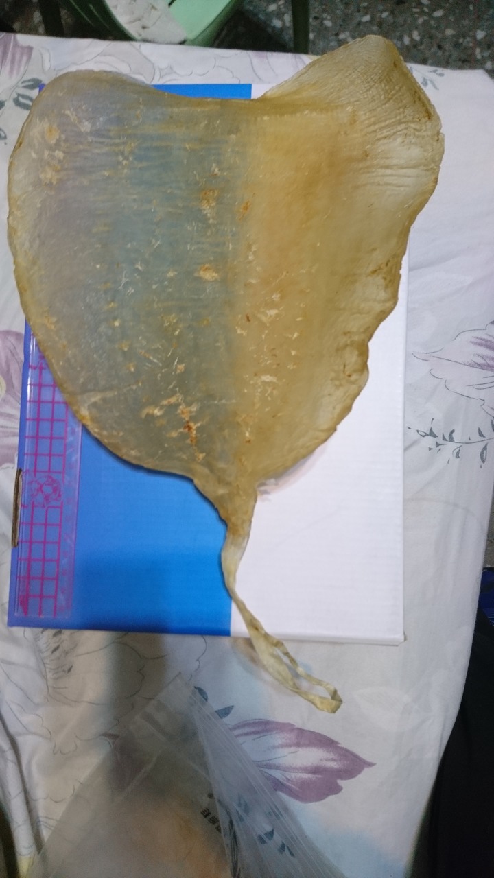 水母和魟魚能做成乾嗎?