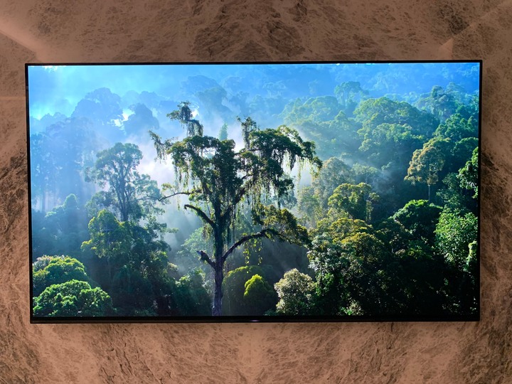 [開箱] 一次攻頂!! Sony KD65-A9G
