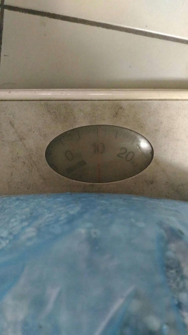 (水族)水族箱用的底部小石頭 有人需要嗎 (1/19更新 沒人要 已處理掉)