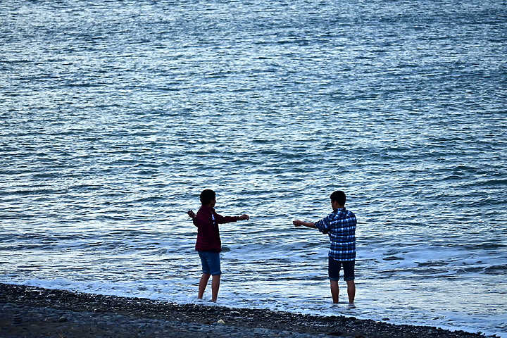 Z7動態區域AF追拍西方澤鵟,Z7+16-50mm和50-250mm的DX鏡首拍。