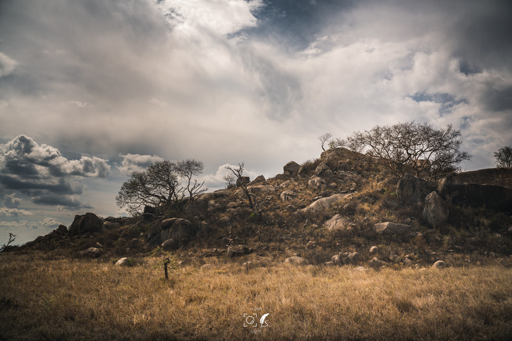 曠古之聲：東非雙亞行略（上）｜Africa Safari