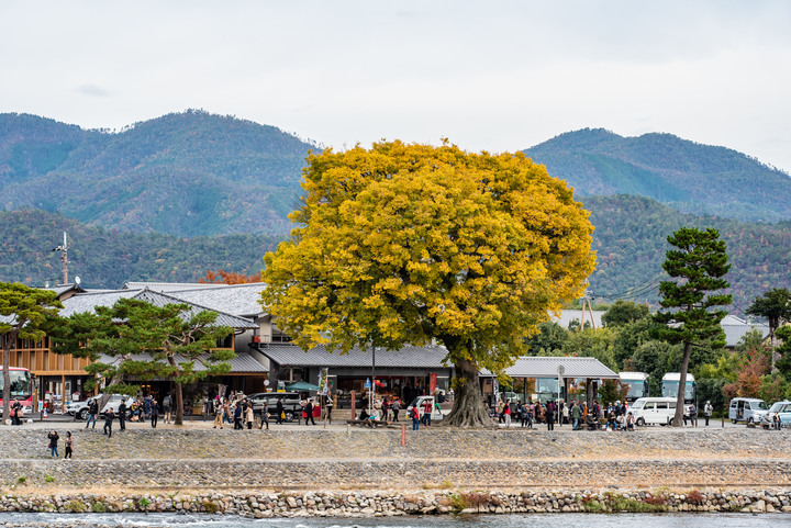「D750」2019京都楓葉季和大阪不夜城全記錄