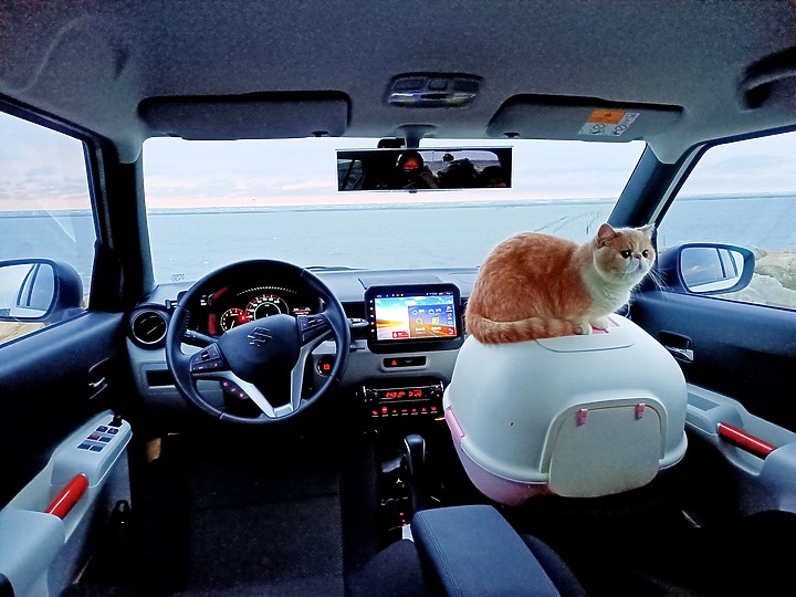 開著貓車 IGNIS 向海邊出發