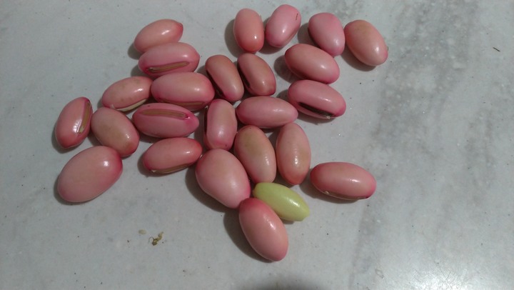 請問這是甚麼豆??如何料理??