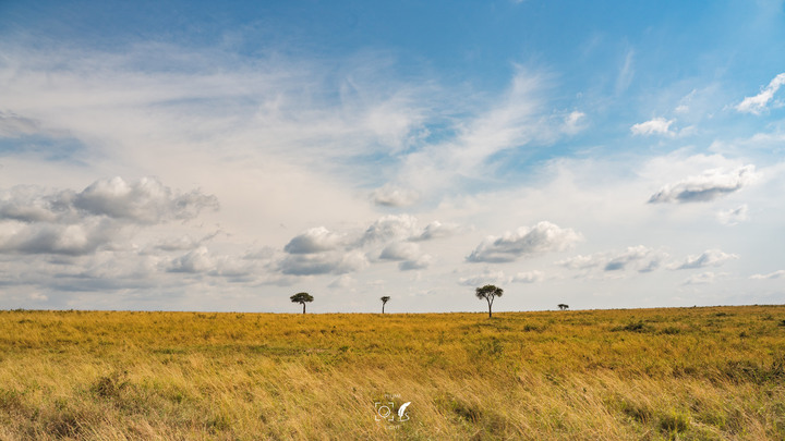 曠古之聲：東非雙亞行略（上）｜Africa Safari
