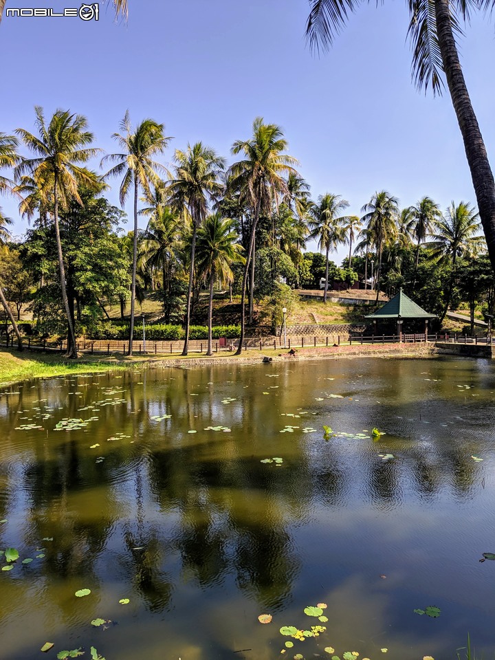 台南走春 台南市永康區永康公園花海地毯 01/12