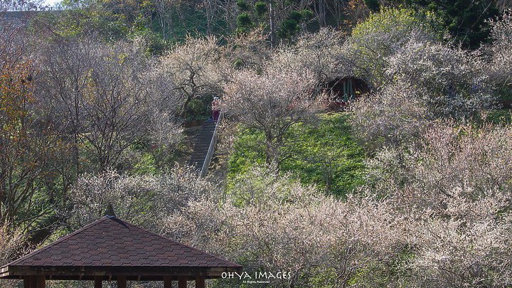 ++ OhYa ++  秋。冬。轉。瞬。(A7M3)