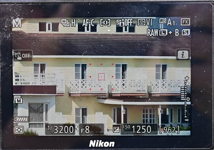 Z7動態區域AF追拍西方澤鵟,Z7+16-50mm和50-250mm的DX鏡首拍。